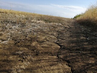 plowed field in autumn