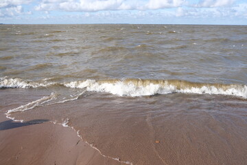 The shore of the Gulf of Finland, Peterhof, September, windy weather, the waves