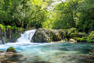 夏の菊池渓谷　黎明の滝　熊本県菊池市　Kikuchi Canyon in Summer Reimei Waterfall Kumamoto-ken Kikuchi city