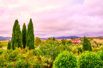 Sunset landscape view in Tuscany, Italy. Beautiful colourful flowers and bushes in the foreground, cypresses trees, a house and an expressive cloudy sky with pink sunset tones on the background
