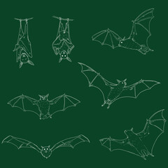 Vector Set of Chalk Sketch Bats.