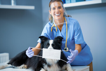 Female vet examining a dog in clinic