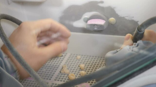 Dental prosthesis, artificial tooth, prosthetic. Dental technician polishing artificial ceramic teeth using sandblaster in dental lab. 4 k video