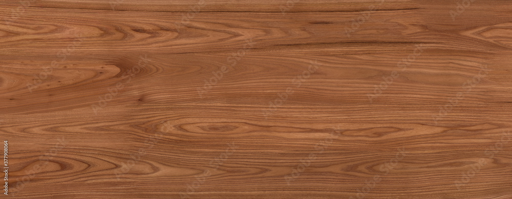 Sticker wood texture background.natural wood pattern. texture of wood - Stickers