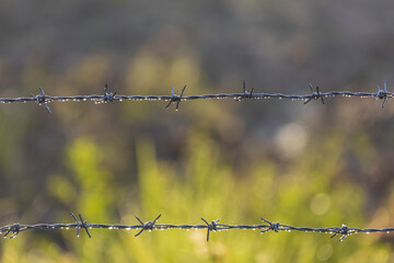 Barbed wire fence with raindrops on it in the morning.