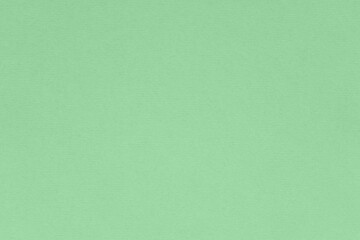 Texture of green ash colored paper for watercolor and pastel. Fashionable pantone color of spring-summer 2021 season from fashion week. Modern luxury background or mock up, copy space