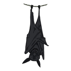 Vector Cartoon Sleeping Black Bat