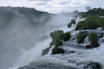 Iguazu falls with bird mid-flight