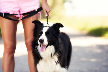 Midsection of woman strolling with her pet at leisure