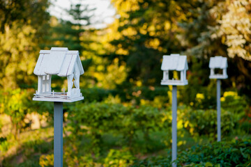
bird feeders in autumn park