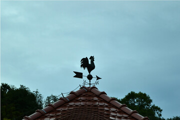 Fototapeta na wymiar Rooster weather-vane showing a wind direction. Traditional weathercock on the roof of a house. Decorative cock weather vane.
