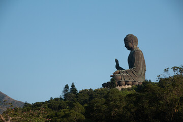 buddha statue in the temple