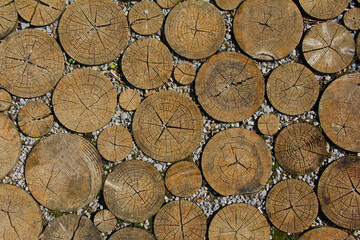 Ausschnitt eines Holz-Fußwegs aus quer geschnittenen Baumstämmen mit Rissen und Kies Splitt in...