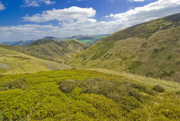 Fototapeta na wymiar Scenic Landscape Rift Valley Long Mynd Shropshire England UK