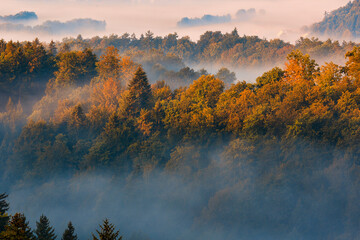 Morgennebel