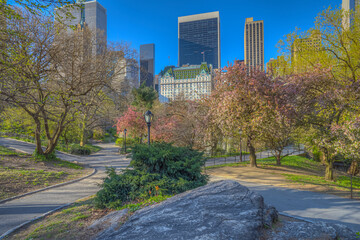 Central Park in spring