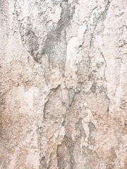 Grungy section of wall ideal for backgrounds