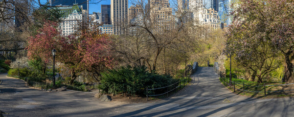 Central Park in spring
