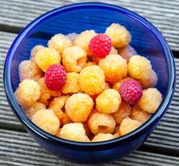 Garden raspberries of yellow and red varieties in a blue glass container