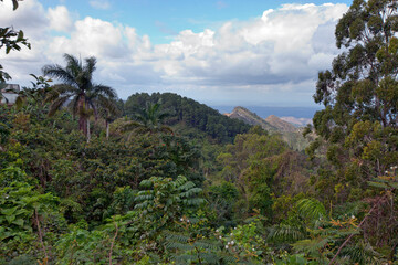 Fototapeta na wymiar Panoramic view on tropical nature. Cuba..
