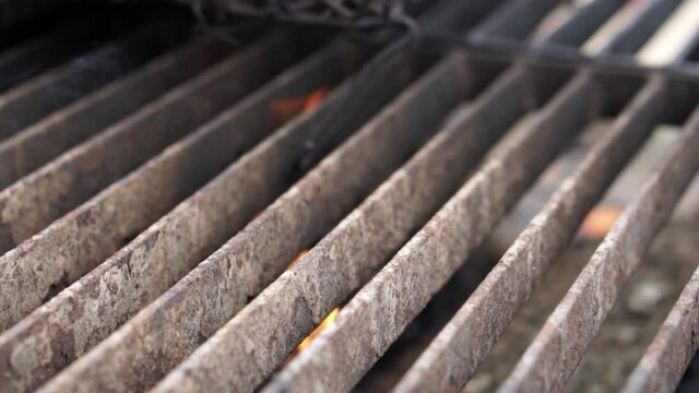 Typical Catalan Receipt Cal&ccedil;ots Onions burning on a self-made barbeque