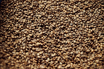 High quality freshly roasted arabica coffee beans