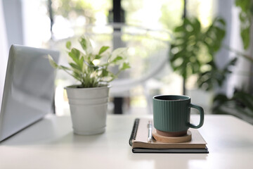 Fototapeta na wymiar Vintage green mug with plant pot and notebooks on white table interior home 