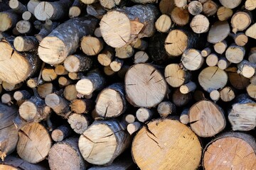 Rondins de bois de chauffage entassés en gros plan