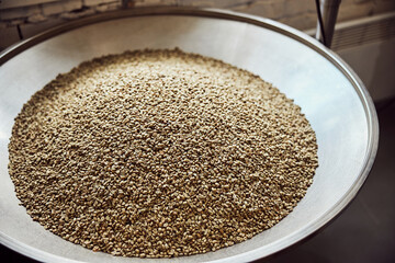 Green arabica coffee beans in metal hopper