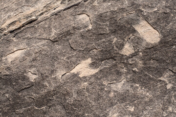 The textured surface of a stone with traces of wind.