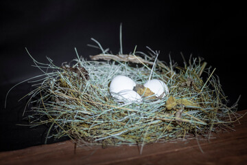 Chicken eggs in the nest.