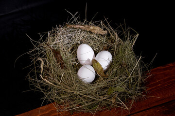 Chicken eggs in the nest.