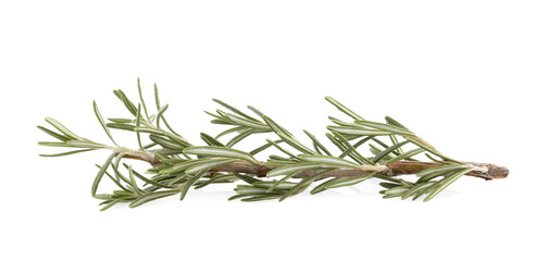 Obraz premium Rosemary isolated on white background