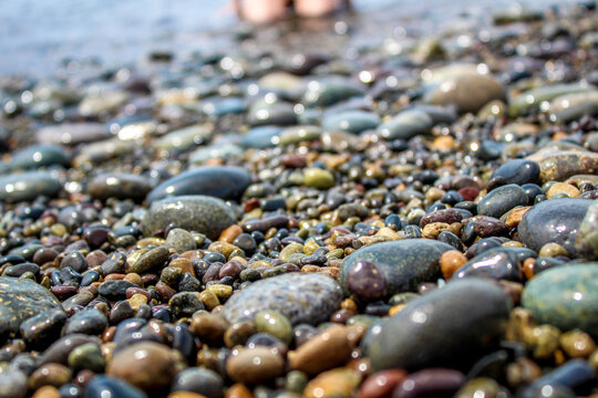 รูปภาพLiso – เลือกดูภาพถ่ายสต็อก เวกเตอร์ และวิดีโอ6,793 | Adobe Stock