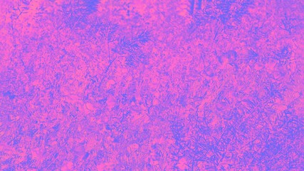 Floral patchy 16 on 9 background, fuchsia blue violet colors, plants pattern