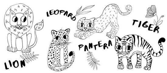 Wild Cats Collection.Vector Set, Lion,leopard,pantera,tiger.Doodle.Exotic cat cartoon character. Hand drawn illustration © Yauheniya Makarevich