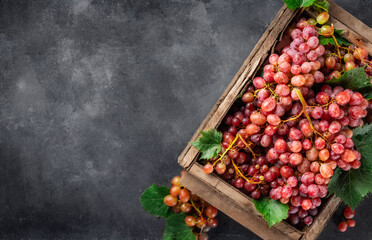 Harvesting, organic farming concept. Fresh grapes in crate on dark background, top view. Copy space