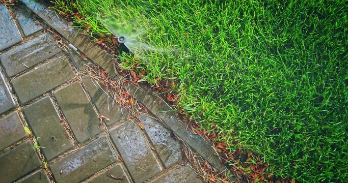 Watering in city park. Sprinkler is set near curbstone of footpath spreading the water, top view
