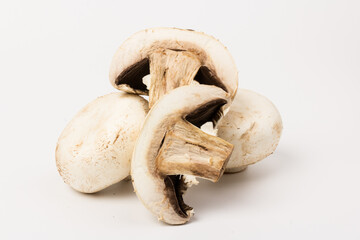 Fresh Champignon mushroom, isolated on white background. Close-up