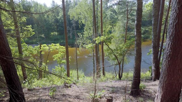 Walk by the river Gauja on a sunny day. Boats sailing with people can be seen behind green leaves. A family with two children is rafting down the river. Gauja National Park. Latvia - Powered by Adobe