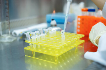 Asia scientist wears a glove and used a micropipette and transfer sample into an eppendorf in the biosafety hood. People in the laboratory study on anti corona drugs. Pharmaceutics concept