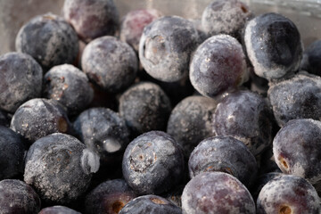 Blueberries from organic frozen cultivation and ready to be consumed