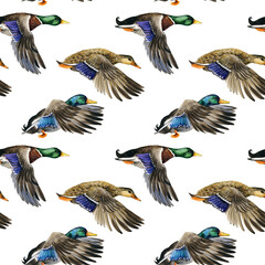 watercolor Seamless pattern with flying duck