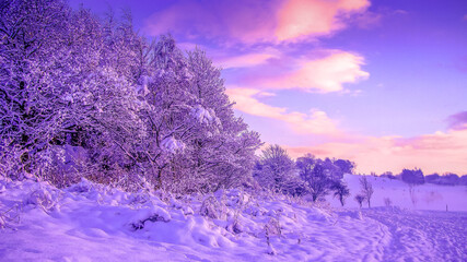 A stunning winter scene