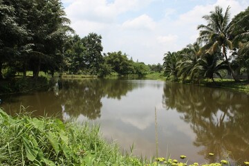 Beautiful view of the lack and blue sky and green trees