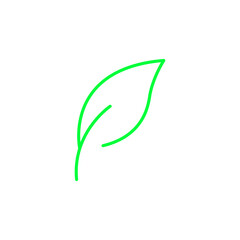 leaf vector illustration