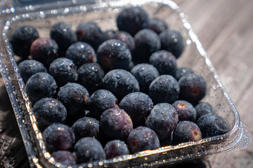 Blueberries from organic frozen cultivation and ready to be consumed