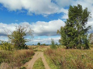 country road in a field near trees on a sunny day against a blue sky