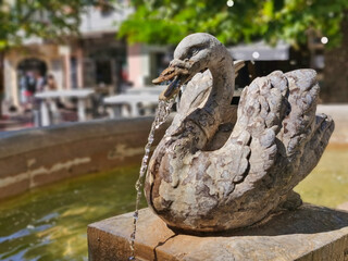 Swan stone fountain, in the south of france, provence. 