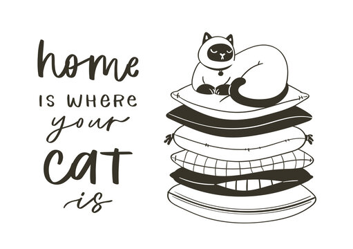 Hand drawn lettering quotes about cute funny cats. Humoristic calligraphy message, slogan use for cards, print. Scandinavian style pretty pet in cartoon style black on white background